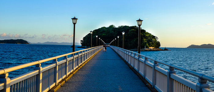 長さ387メートルの橋で陸地と結ばれて、国の天然記念物に指定されている蒲郡のシンボル「竹島」。島の中央部には、日本七弁財天のひとつである「八百富神社」があります。